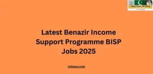 Latest Benazir Income Support Programme BISP Jobs 2025